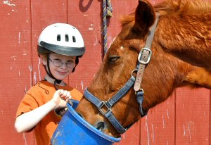 Feeding Ginger at Summer Day Camp