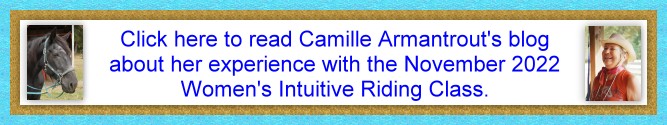 Read Camille Armantrout's experience with the Women's Intuitive Riding class in November 2022